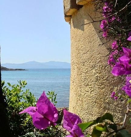 Residence Les Mandiles Cargèse Dış mekan fotoğraf