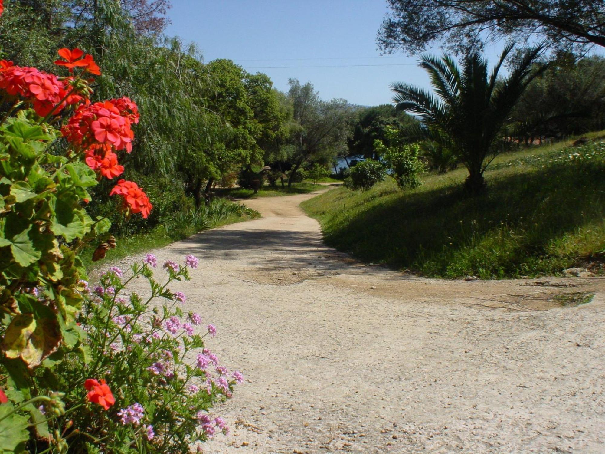 Residence Les Mandiles Cargèse Dış mekan fotoğraf