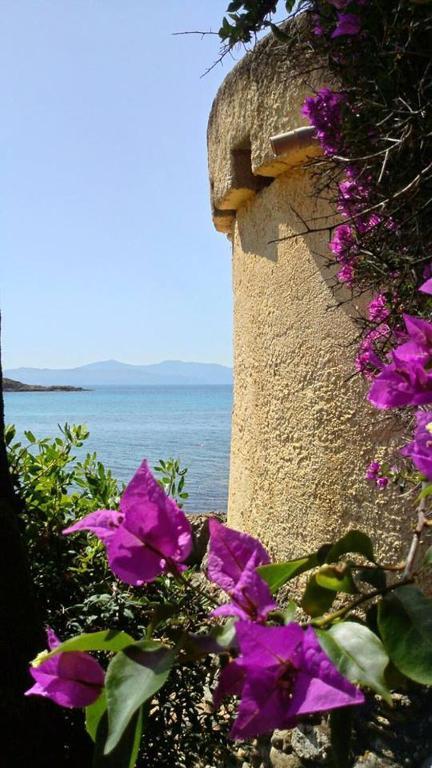 Residence Les Mandiles Cargèse Dış mekan fotoğraf